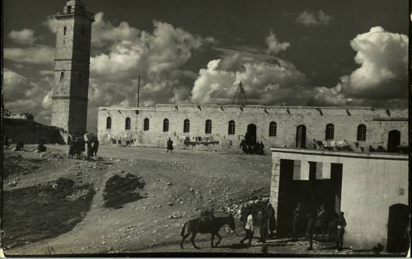 halab3371 (3).jpg - 35.76 kB 
